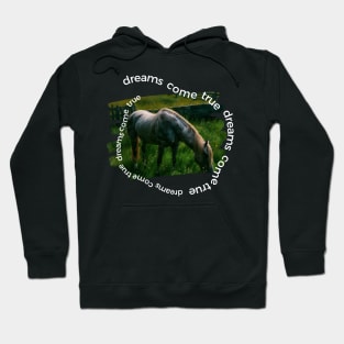 Dreams Come True Hoodie